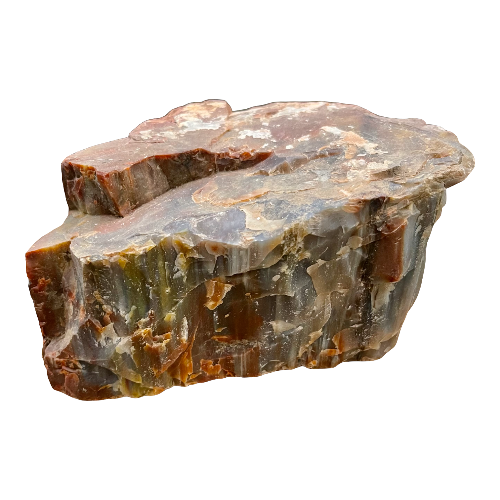 Petrified Wood