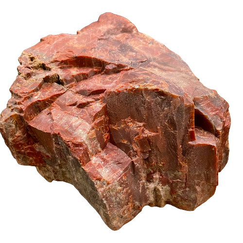 Petrified Wood