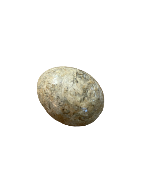 jasper egg