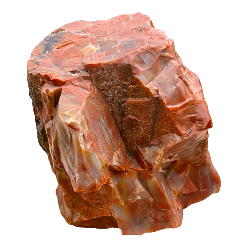 Petrified Wood